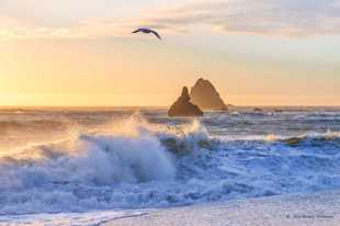Russian River beach-7945 Russian River beach-7945